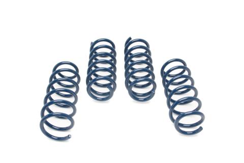 Performance Spring Set 2011-2016 BMW 550i F10 Dinan