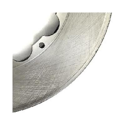 Rotor Replacement 13 Inch .810 Inch Thick Plain No Zinc Passengers Side BAER Brakes