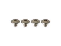 Race Torx Head Throttle Plate Screw Long S.S. Stainless Steel Quick Fuel