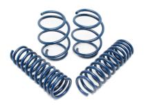 Performance Spring Set 1996-1999 BMW M3 E36 Dinan